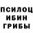 Псилоцибиновые грибы Psilocybine cubensis Oskars Strods