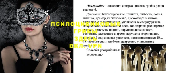 эйфоретик Верхний Тагил