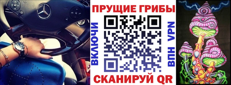 Псилоцибиновые грибы прущие грибы  MEGA рабочий сайт  Верея  продажа наркотиков 